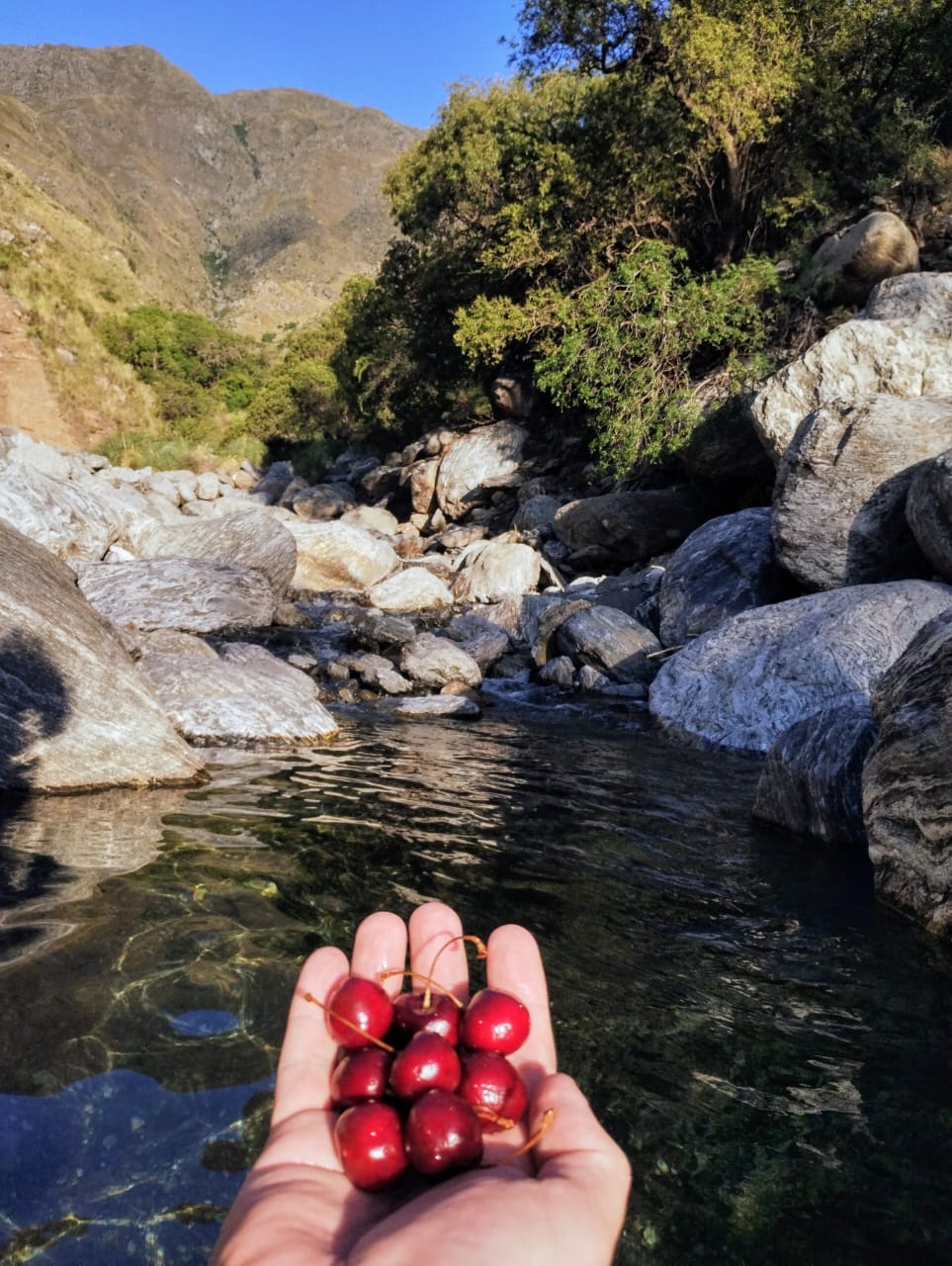 Agua en reserva con cerezos